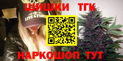 apvp Кингисепп