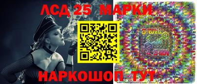 apvp Кингисепп