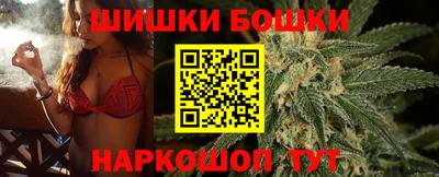 apvp Кингисепп