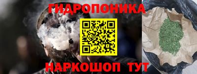 apvp Кингисепп
