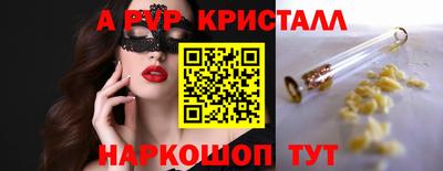 apvp Кингисепп